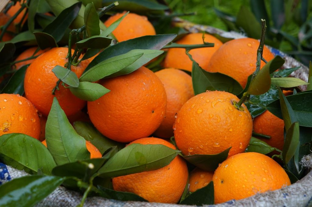 orange-vitamin-c