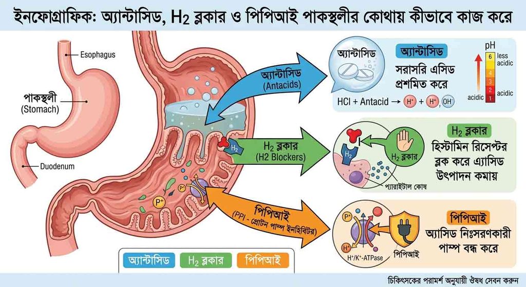 অ্যান্টাসিড ও পিপিআই পাকস্থলীর এসিডের ওপর কীভাবে কাজ করে